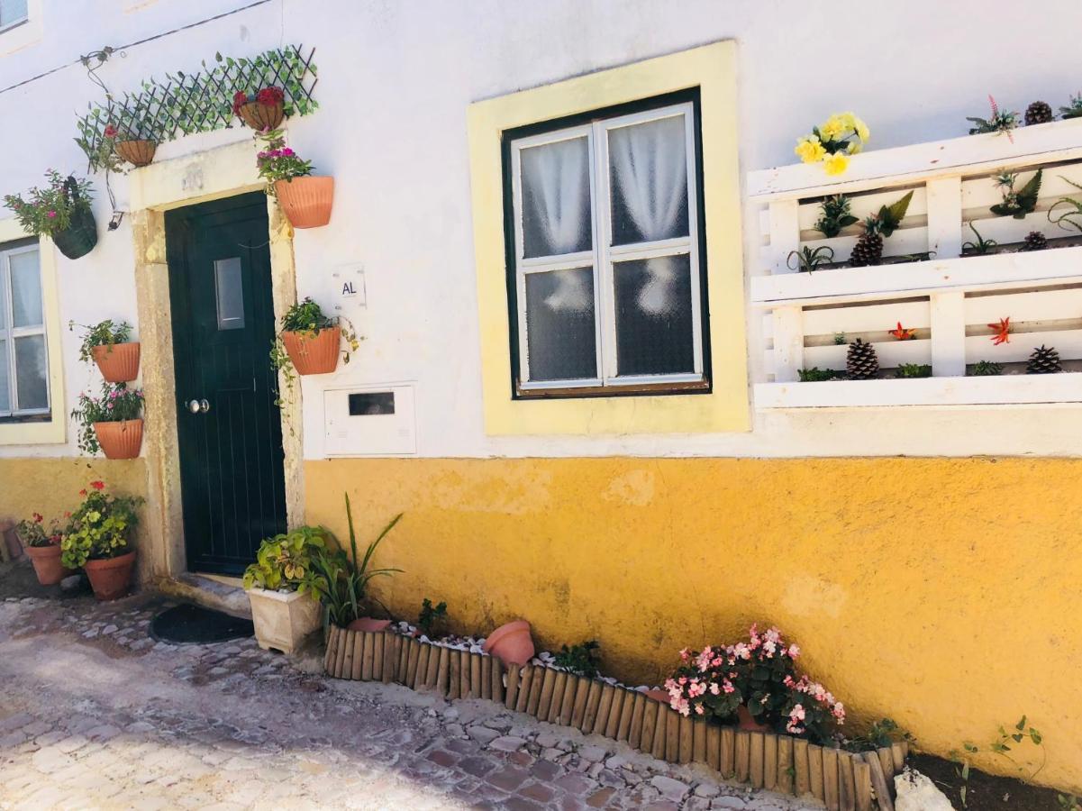 Pe Do Castelo Pet Friendly - Studio & Garage Villa Tomar Exterior foto